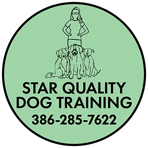 Star Quality Dog Training